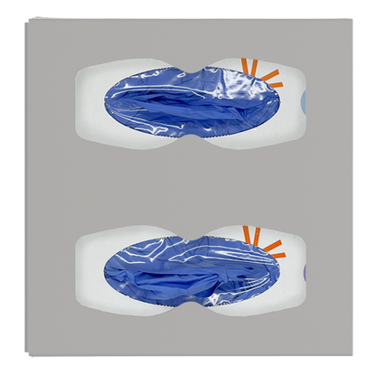 Glove Dispenser, Double, Beige ABS plastic, wall mount, divided with hourglass cutouts for dispensing. Front facing, vertical, filled with 2 different sized boxes of blue exam gloves